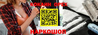индика Гатчина