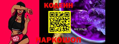 индика Гатчина