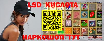 индика Гатчина