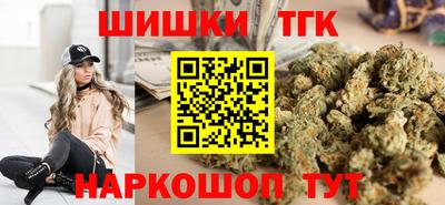 индика Гатчина