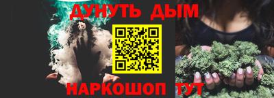 индика Гатчина