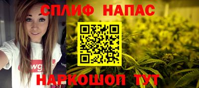 индика Гатчина