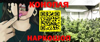 индика Гатчина