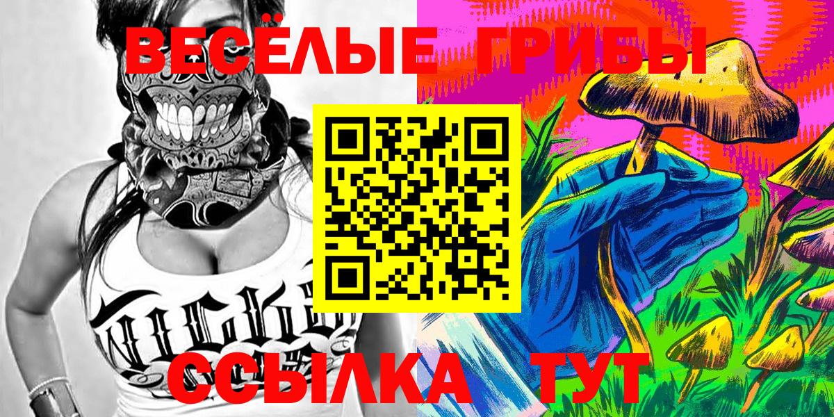 Псилоцибиновые грибы прущие грибы  где купить наркотик  Псилоцибиновые грибы мицелий  Волоколамск  Вход с VPN 